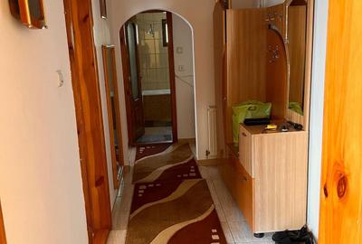 Apartament cu 2 camere în Coman - 5