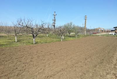 Casă cu 3 camere în Bugeac - 2