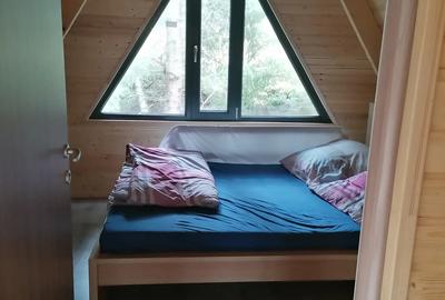 Cabana la Rau?or, retezat - 4