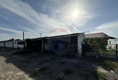 Spa?iu industrial Hale si Fabrica de lemn - 10