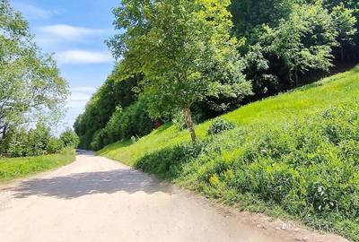 Teren Construcții intravilan de 1000 mp, în Bunloc - 2