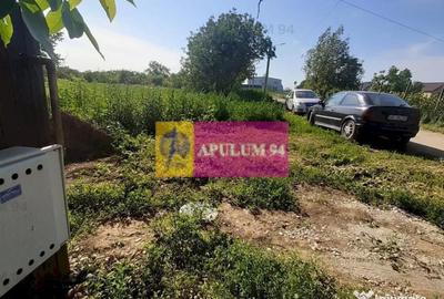 Teren de 5000 mp, în Copăceni - 14