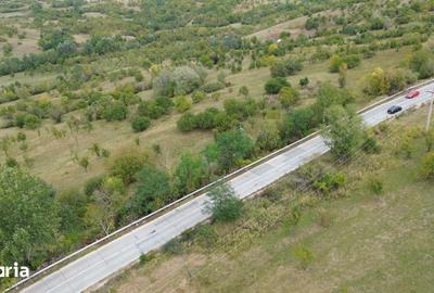 Teren de 8043 mp, în Berevoești - 2