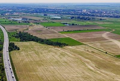 Teren de 300000 mp, în Vânătorii Mici - 4