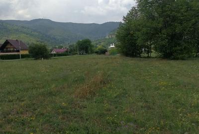 Teren în Stejaru (Pângărați) - 1