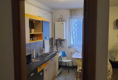 Apartament 1 camera, 44 mp, mobilat și utilat, zona Gară / Coposu - 3