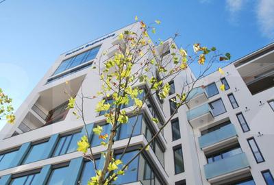 Open space, cladire clasa A - 1