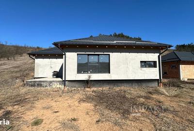 Casă cu 4 camere cu Teren 2977 Mp în Baciu - 3