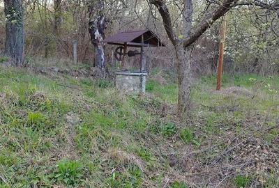 Casă cu 3 camere cu Teren 5200 Mp în Schela - 2