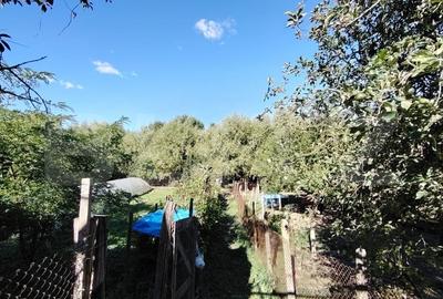 Casa de vanzare, teren 3.242 mp, la strada principala, Cotofenii din Fata - 4