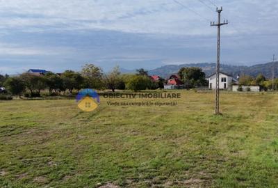 Teren de vanzare 1800 mp Dumbrava Ro?ie - 9