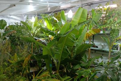 Casă individuală cu 5 camere cu Canalizare în Rahova - 11