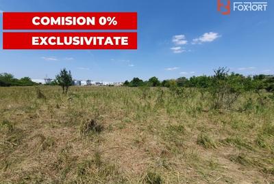 COMISION 0% Teren de vanzare intravilan de 5000 mp in Chisoda - 13