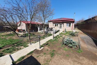 Casa de vacanta | Curte | Teren | Belciugatele | Calarasi - 32