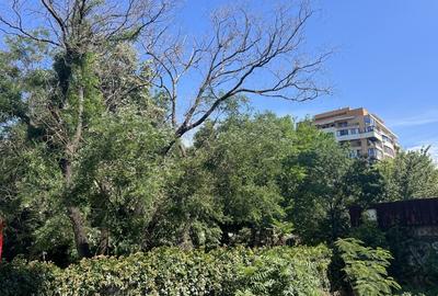 2 CAMERE  LUX  - COTROCENI -GRADINA BOTANICA 104MP - 3