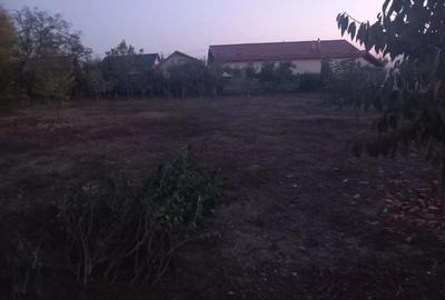 Casa de vanzare in satul Coste?ti Deal, comuna Produle?ti, jude?ul Dambovi?a - 5