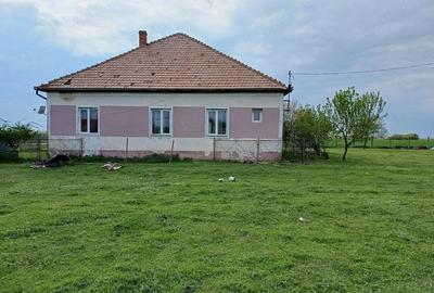 Casă cu Teren 1500 Mp în Pădureni - 1