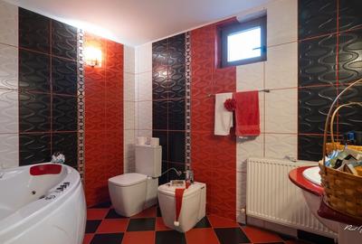 PROPRIETAR VAND VILA P+M SUPRAFATA CONSTRUITA 240 mp - 8