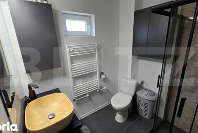 Apartament cu 2 camere decomandat în Răzvad - 10