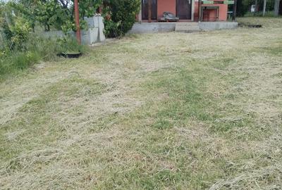 Casă cu 3 camere cu Teren 2700 Mp în Vrancea - 6