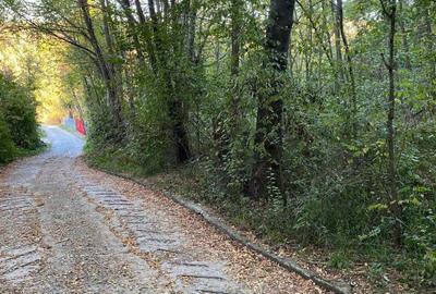 Spațiu comercial, în Nistorești - 3