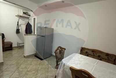 Apartament 3 camere de inchiriat Lapus-Arges - 7