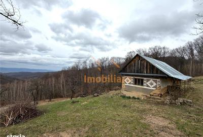 Teren de 34000 mp, în Borod