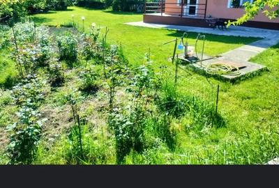 Casa si teren 1453 mp Piatra Neam? - 1