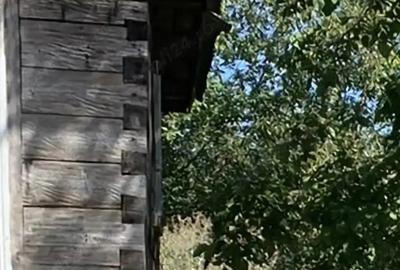Casa cu teren ,Camp Mo?i, jude?ul Bihor - 7