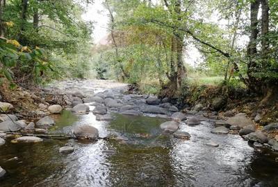 Teren de 2932 mp, în Sârbi (Budești) - 6