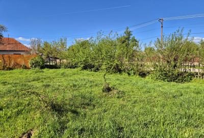 Comision 0 %/ Teren intravilan Sercaita 2247 mp Comision 0 %/ Teren intravilan Sercaita 2247 mp - 6