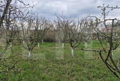 Casă cu 2 camere cu Teren 2700 Mp în Dorohoi - 1