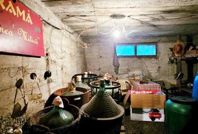 Casa tip duplex cu garaj, beci si crama, zona Carrefour- Piatra Neamt - 11