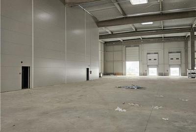 Spațiu comercial, de 1,770 mp, în Vest - 3