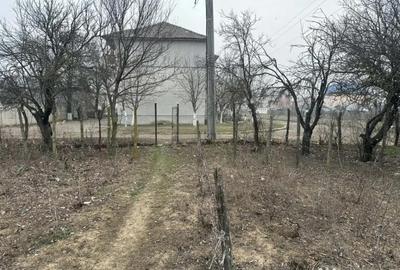 Teren de 1200 mp, în Coșoveni - 2
