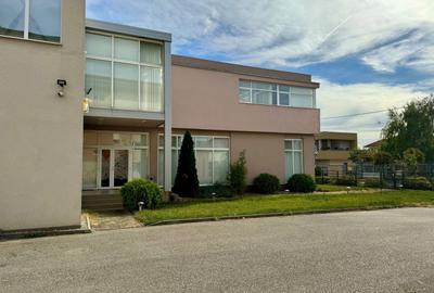 Spațiu comercial, de 483 mp, în Dumbrăvița - 3