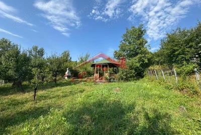 Casă cu Teren 2404 Mp în Cornu - 3
