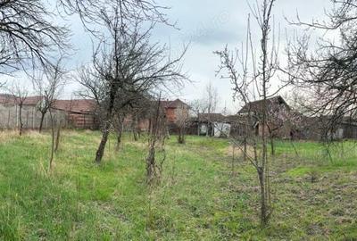 Casă cu 4 camere în Sebiș - 7