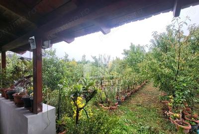 Casă cu 5 camere cu Teren 800 Mp în Giarmata - 2