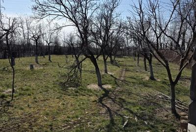 Casă cu Teren 2579 Mp în Colanu - 5