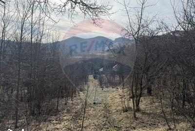 Teren de 1271 mp, în Livezile - 5