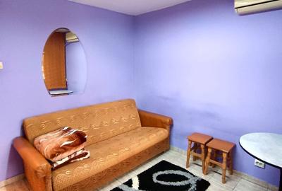 Inchiriere - Apartament 2 camere zona Ferdinand-Iancului - 4