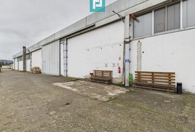 Hală cu teren intravilan de 3500 mp, în Sebiș Arad - 8