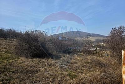 Teren Construcții intravilan de 1000 mp, în Calea Romanului - 3