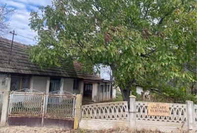 Casă cu 3 camere în Nanov - 2