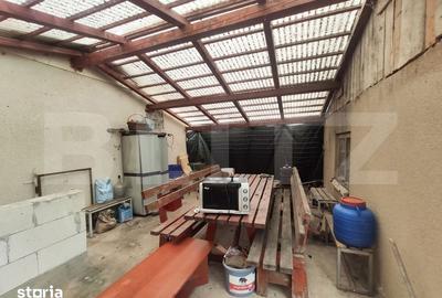 Casă cu 3 camere cu Teren 24000 Mp în Micula - 2