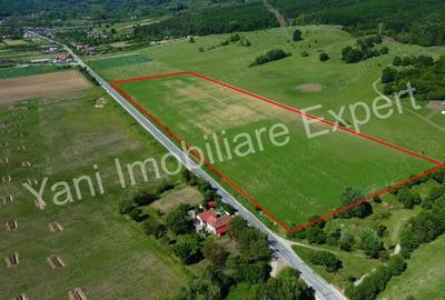 Teren de 69700 mp, în Tigveni - 11