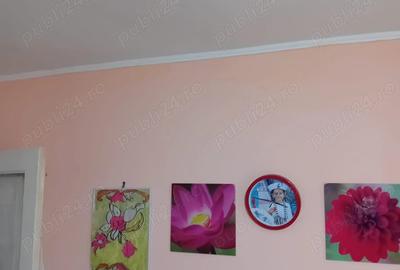 Vanzare imobil curte Vanzare imobil curte - 5