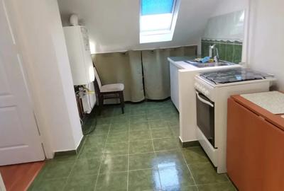 Lipovei,str aca de barbu, mansarda - 2