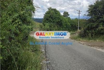Vindem terenuri intravilane in Campulung - Arges 3400 si 1800 mp - 3